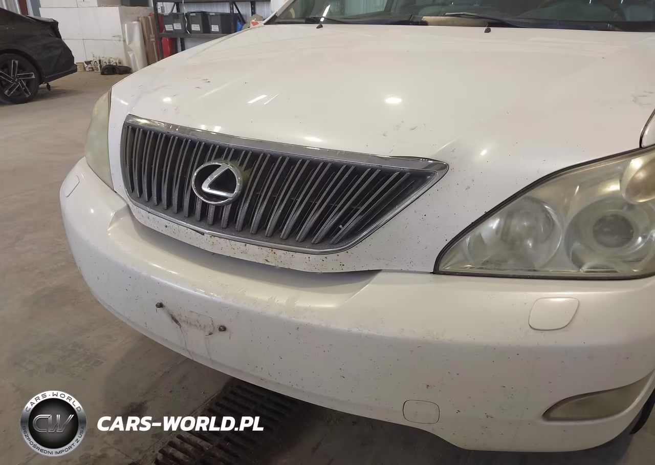 2004 Lexus Rx 330 VIN:JTJHA31U640062234 - 6