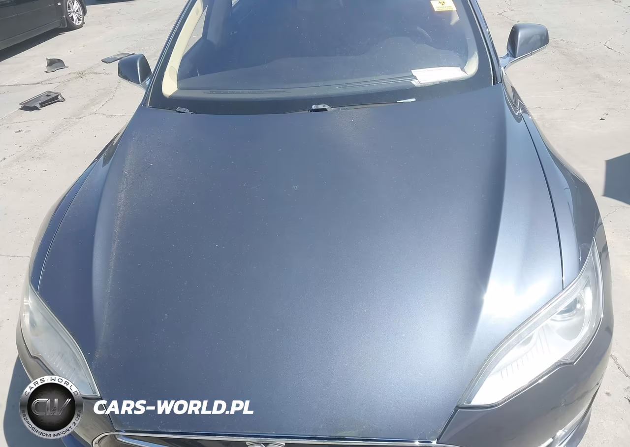 2014 Tesla Model S P85 VIN:5YJSA1H17EFP46950 - 10