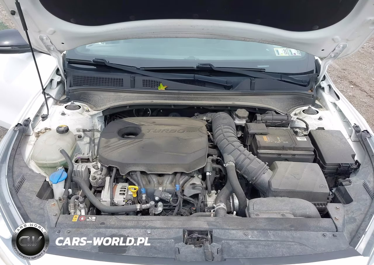 2021 Kia Forte Gt VIN:3KPF44ACXME281042 - 10