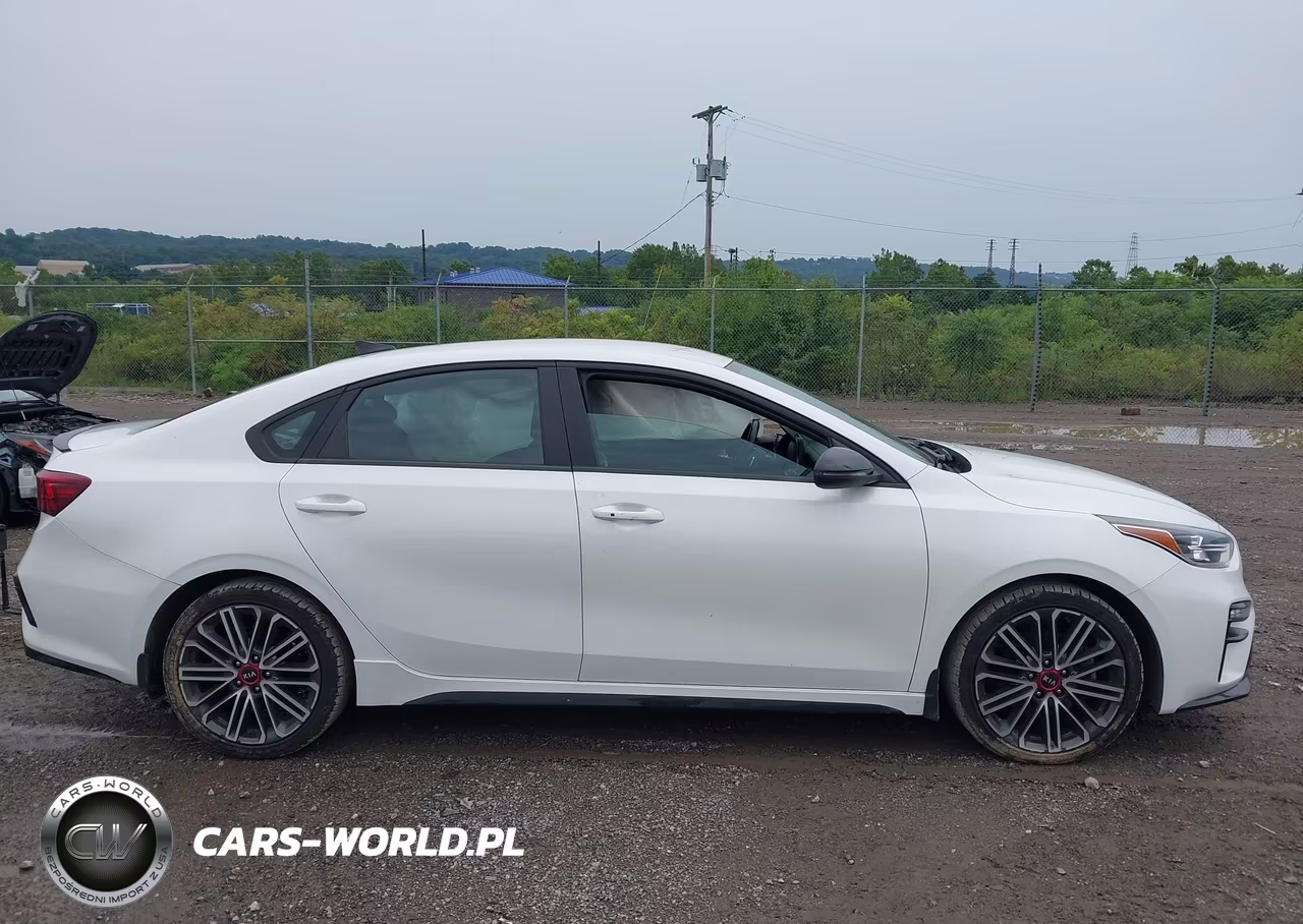2021 Kia Forte Gt VIN:3KPF44ACXME281042 - 13