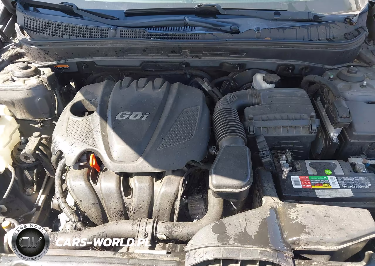 2014 Hyundai Sonata Gls VIN:5NPEB4AC1EH923890 - 10