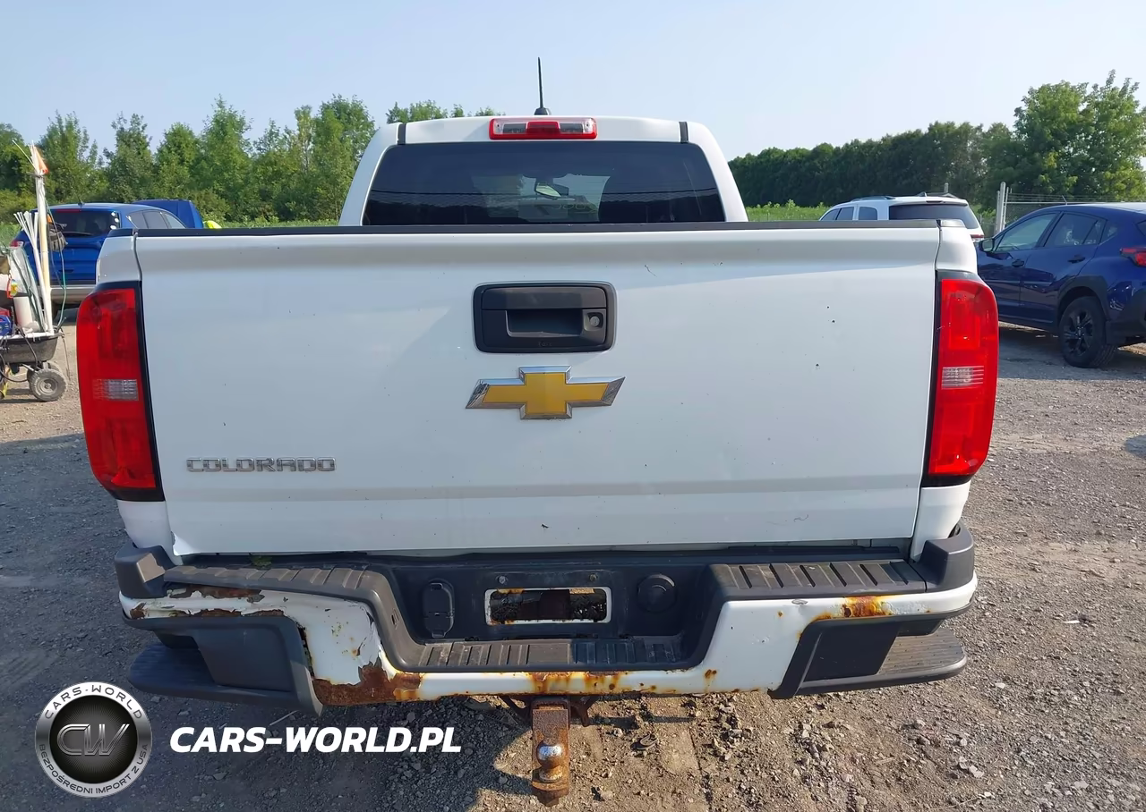 2015 Chevrolet Colorado 4Wd Z71 VIN:1GCGTCE38F1154629 - 17