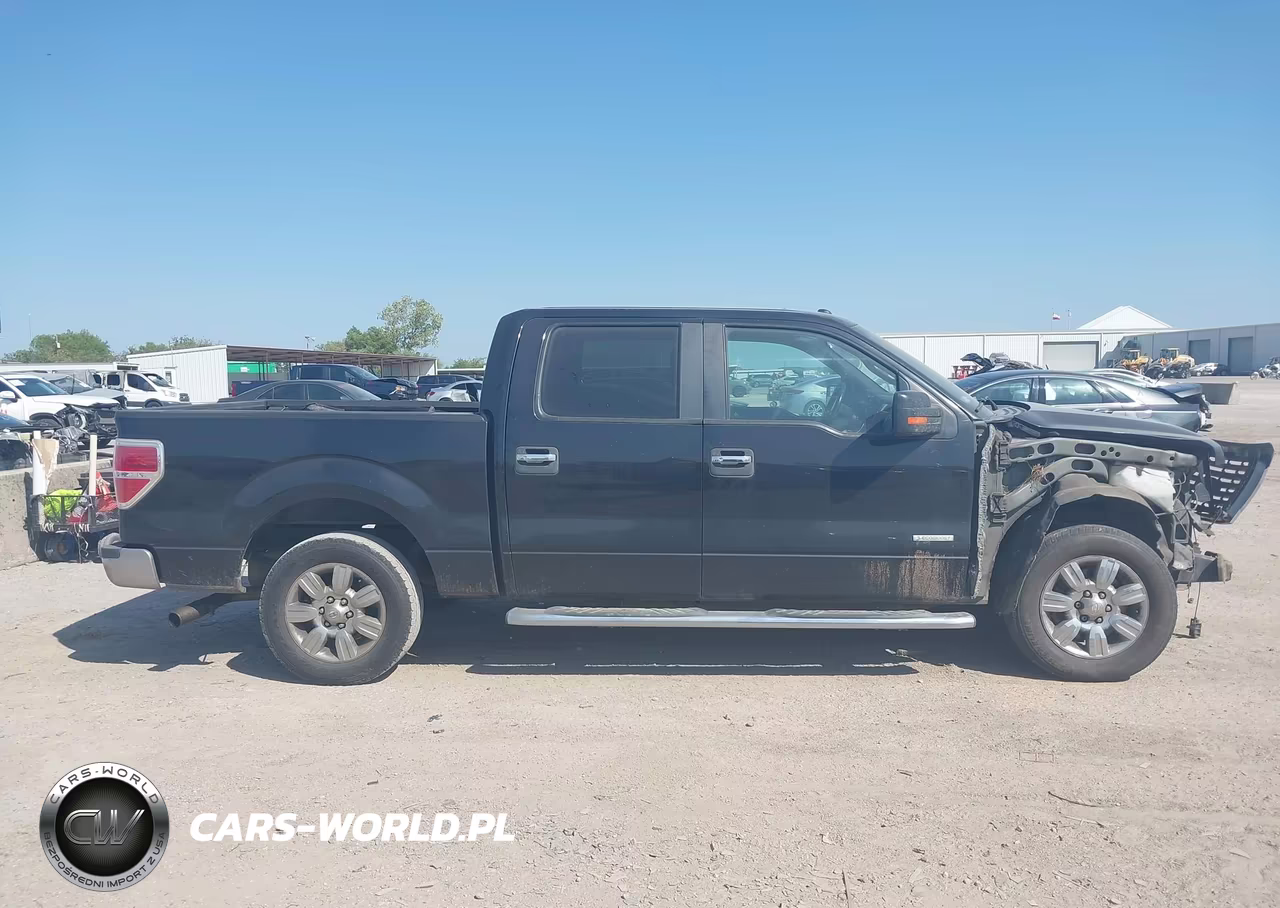 2011 Ford F-150 Xlt VIN:1FTFW1CT5BKD40496 - 13