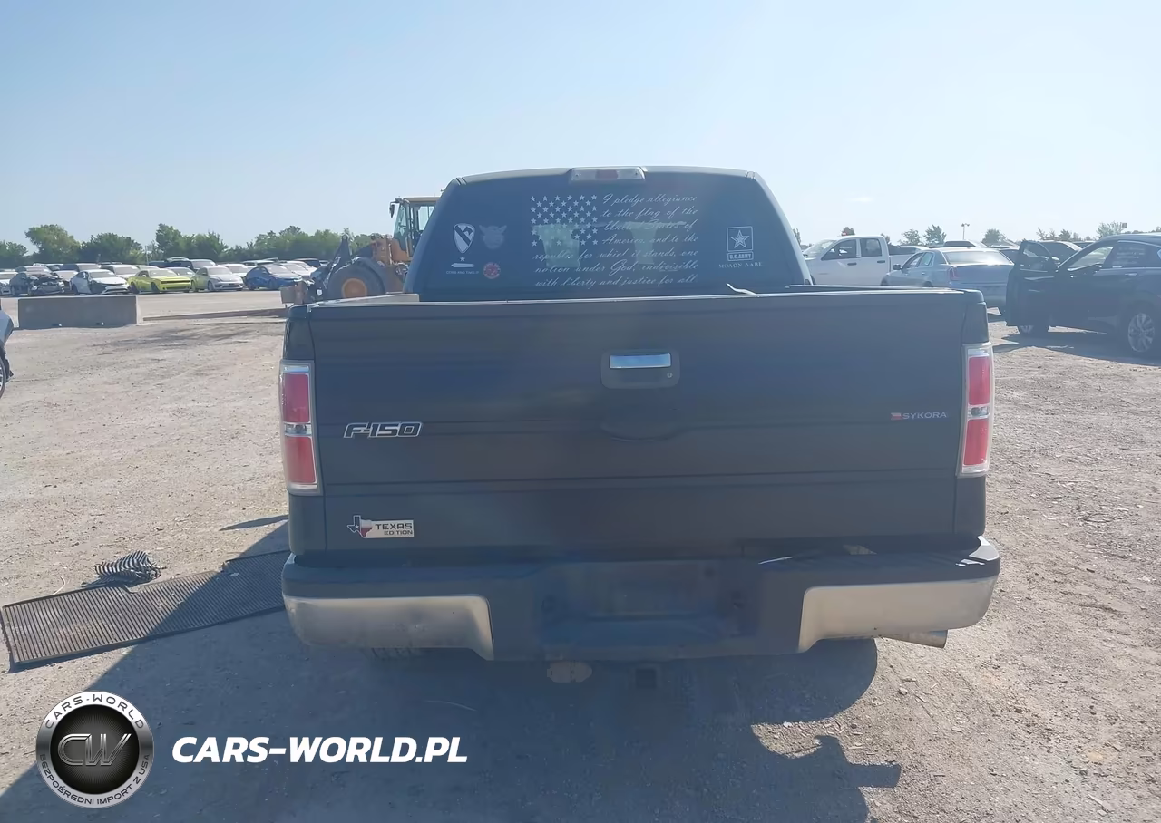2011 Ford F-150 Xlt VIN:1FTFW1CT5BKD40496 - 16