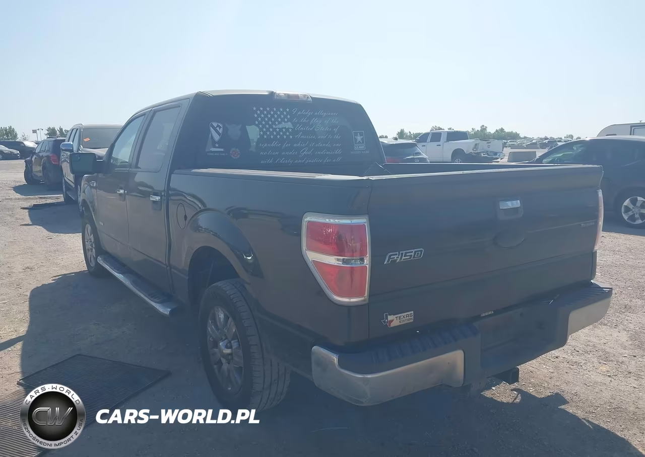 2011 Ford F-150 Xlt VIN:1FTFW1CT5BKD40496 - 3