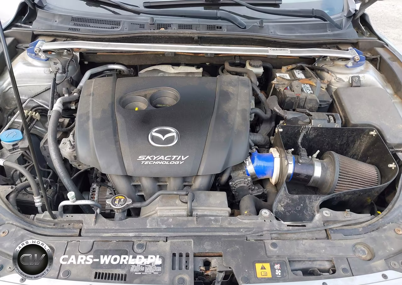 2014 Mazda Mazda3 I Sport VIN:JM1BM1U76E1146866 - 10