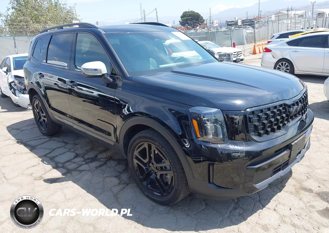 2025 Kia Telluride Ex X-Line VIN:5XYP3DGC2SG612100 - 1