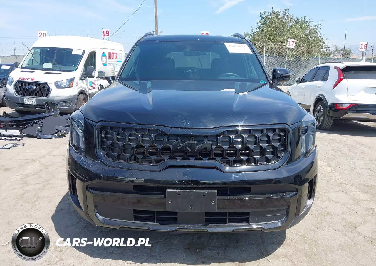 2025 Kia Telluride Ex X-Line VIN:5XYP3DGC2SG612100 - 13