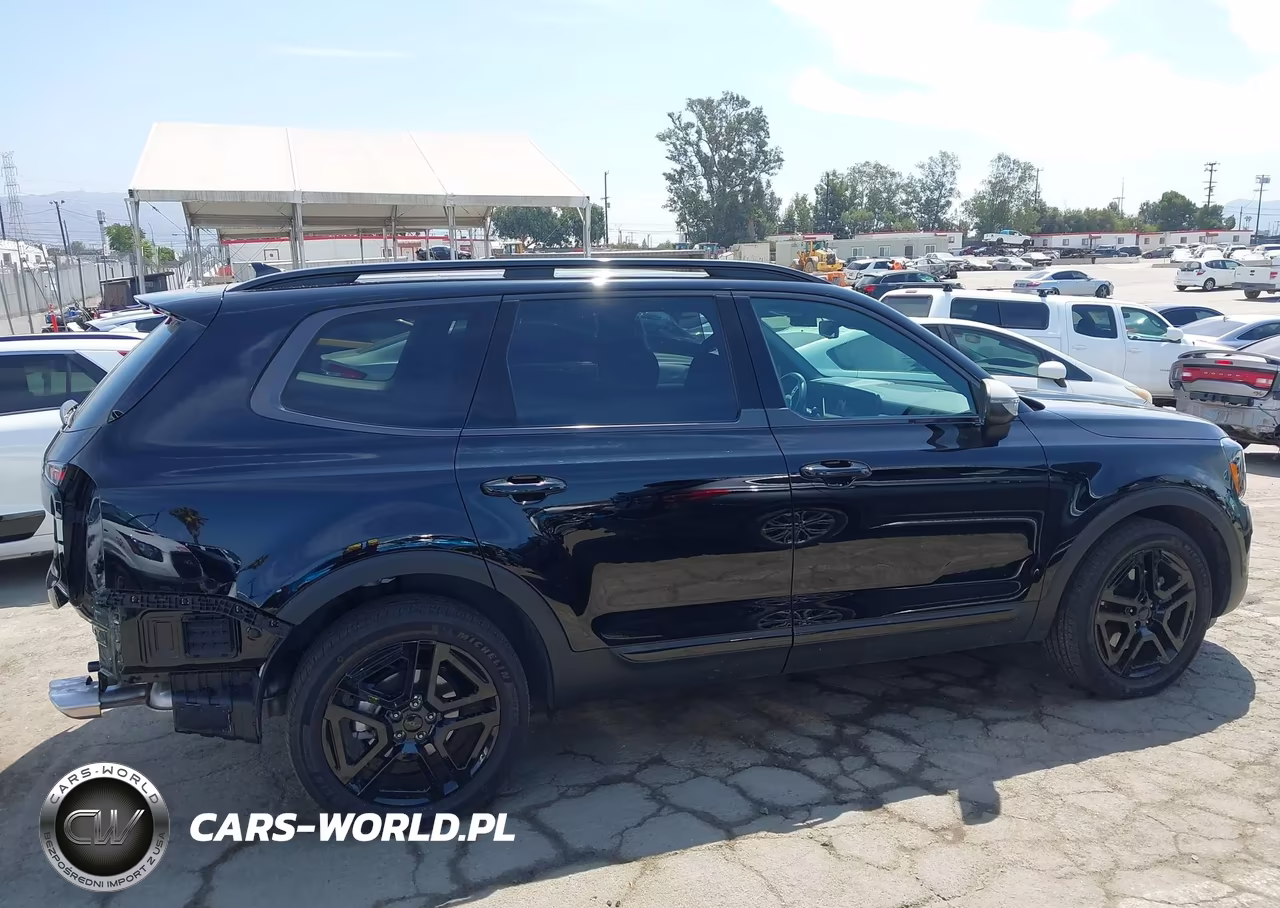 2025 Kia Telluride Ex X-Line VIN:5XYP3DGC2SG612100 - 14