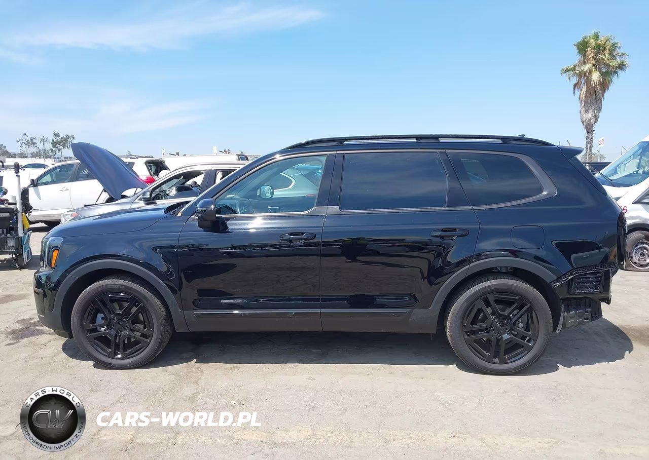 2025 Kia Telluride Ex X-Line VIN:5XYP3DGC2SG612100 - 15