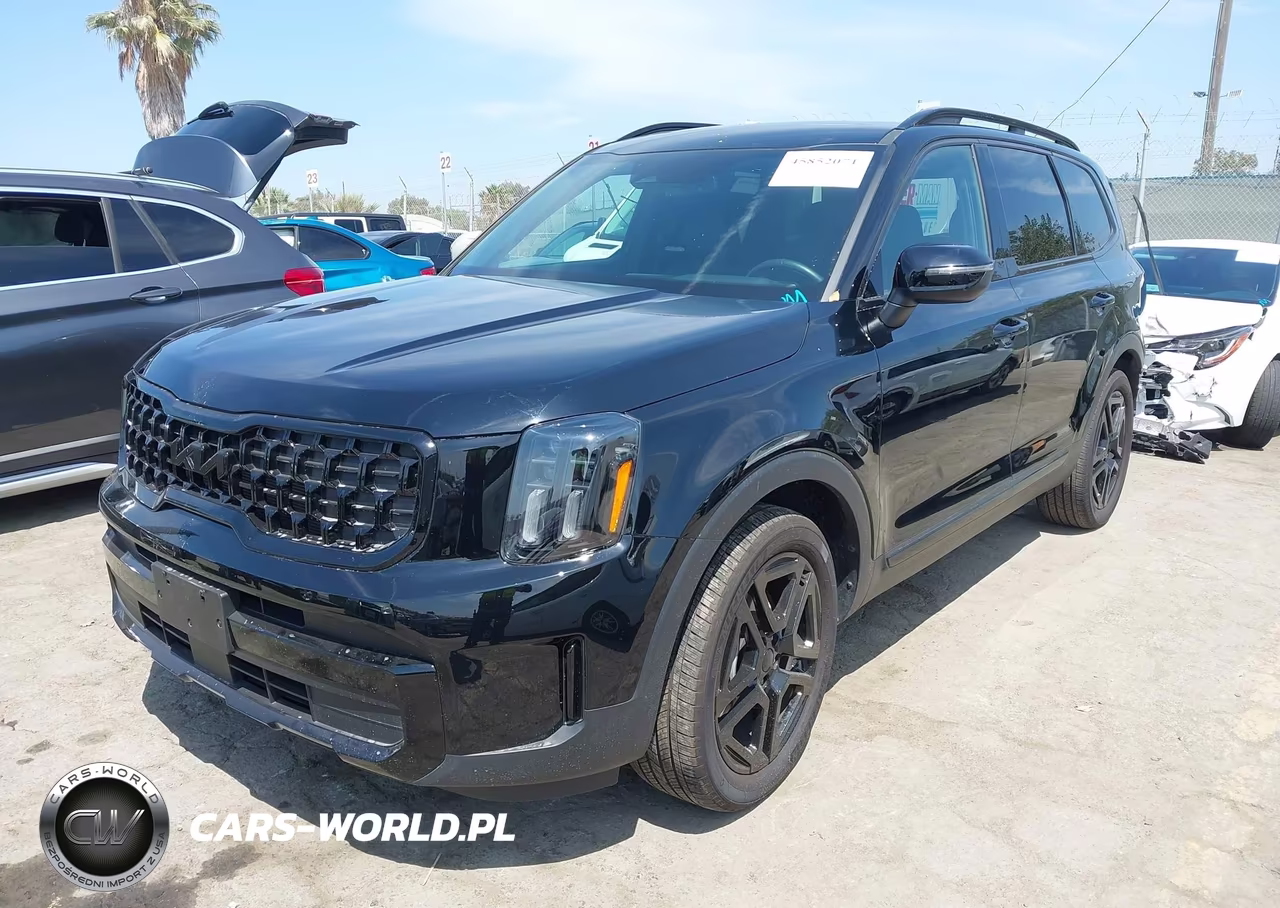 2025 Kia Telluride Ex X-Line VIN:5XYP3DGC2SG612100 - 2