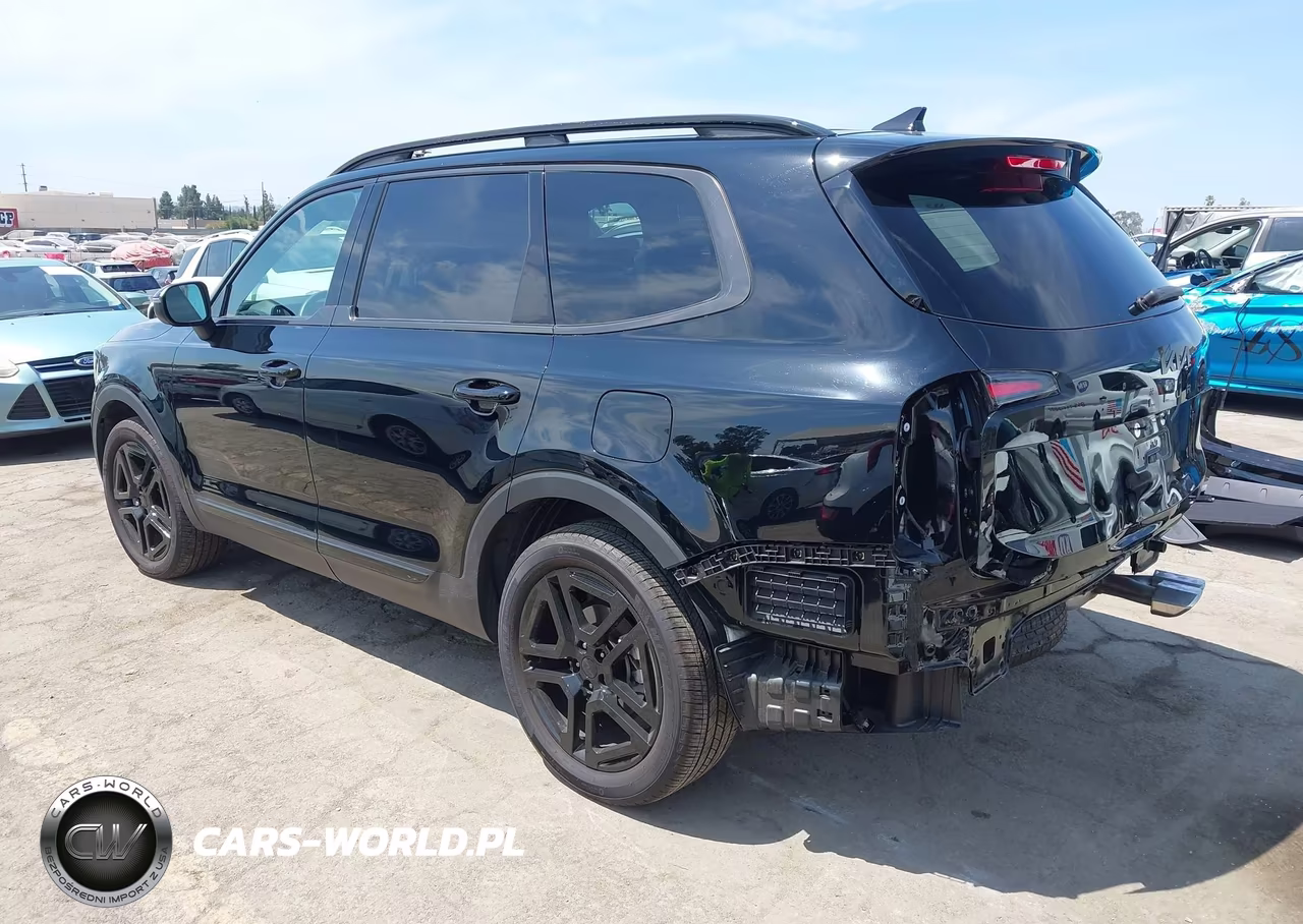 2025 Kia Telluride Ex X-Line VIN:5XYP3DGC2SG612100 - 3