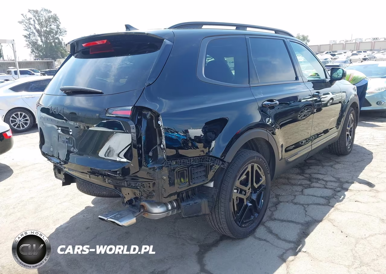 2025 Kia Telluride Ex X-Line VIN:5XYP3DGC2SG612100 - 4