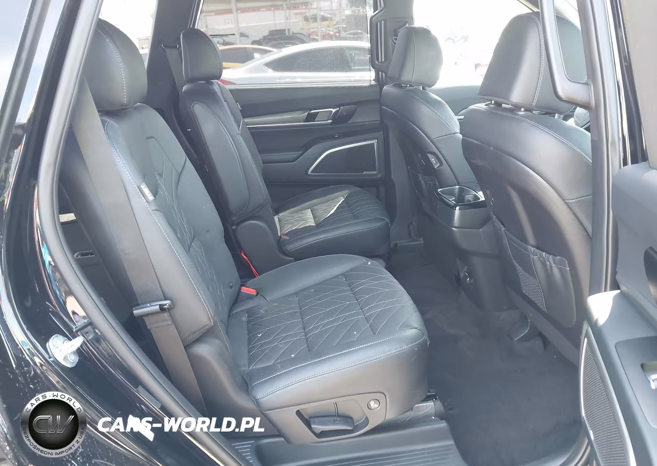 2025 Kia Telluride Ex X-Line VIN:5XYP3DGC2SG612100 - 8
