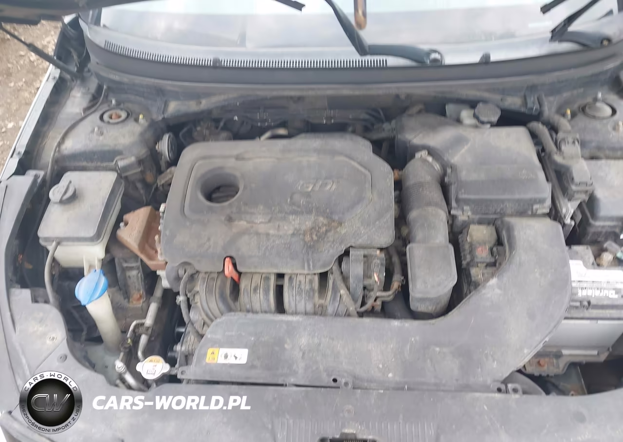 2015 Hyundai Sonata Se VIN:5NPE24AF4FH242831 - 10