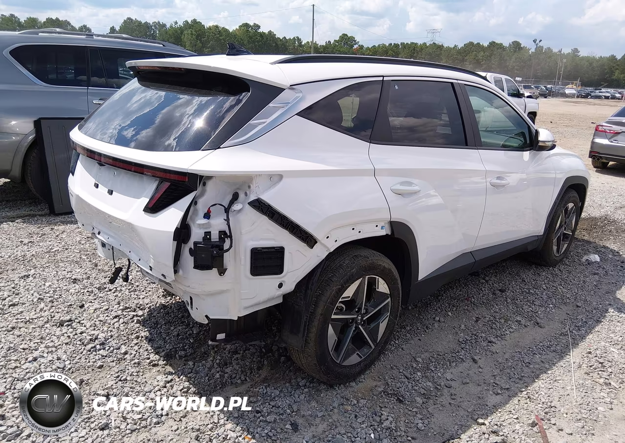 2025 Hyundai Tucson Sel Convenience VIN:5NMJC3DE9SH541053 - 4