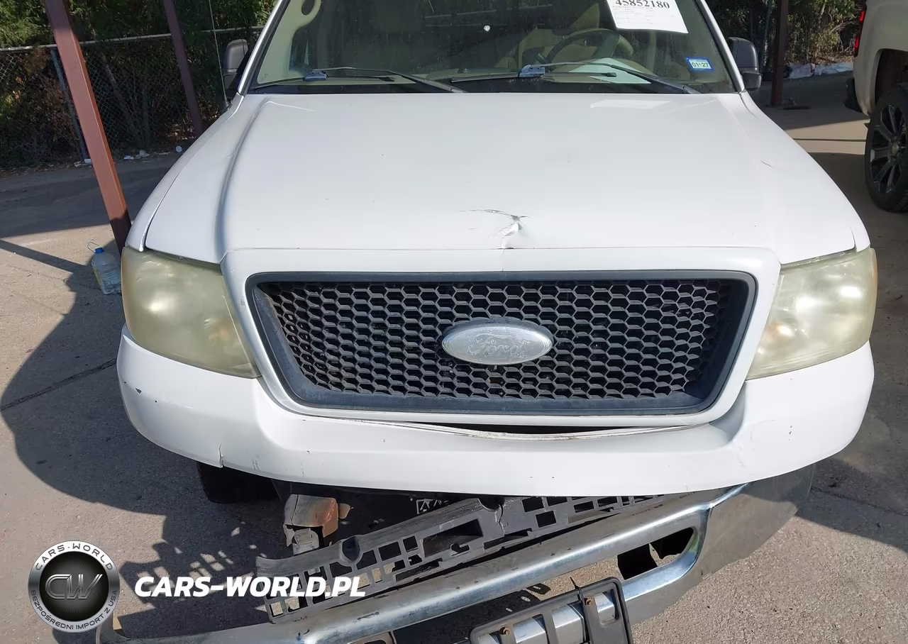 2006 Ford F-150 Xlt VIN:1FTRW12W56FA42294 - 10