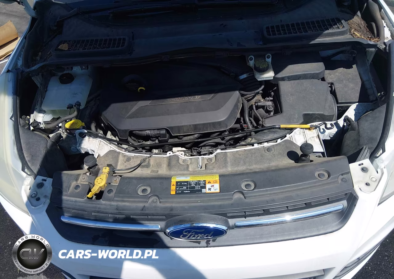 2013 Ford Escape Se VIN:1FMCU0GX9DUD00022 - 10