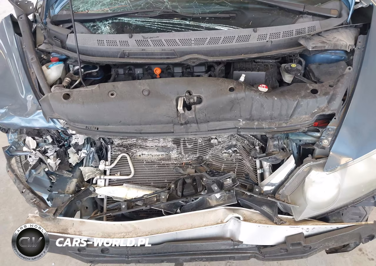 2010 Honda Civic Lx-S VIN:19XFA1F67AE050475 - 10