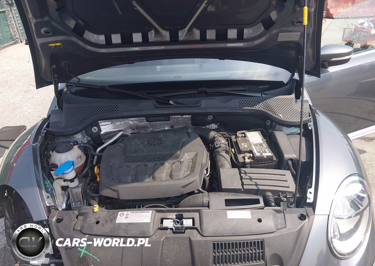2019 Volkswagen Beetle 2.0T Final Edition Se-2.0T Final Edition Sel-2.0T S-2.0T Se VIN:3VW5DAAT4KM505996 - 10