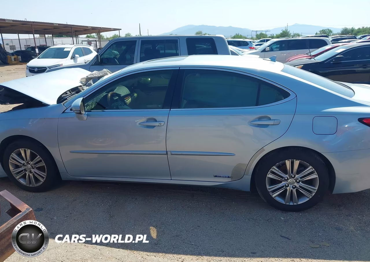 2013 Lexus Es 300H VIN:JTHBW1GG5D2009673 - 13