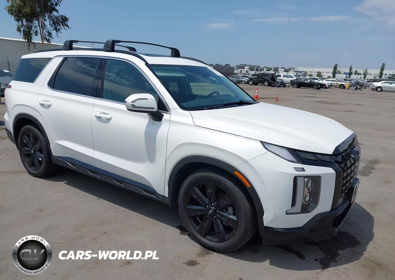 2023 Hyundai Palisade Xrt VIN:KM8R3DGE4PU535208 - 1