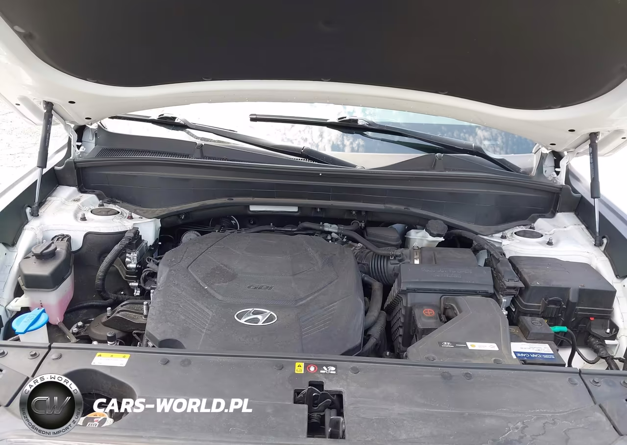 2023 Hyundai Palisade Xrt VIN:KM8R3DGE4PU535208 - 10