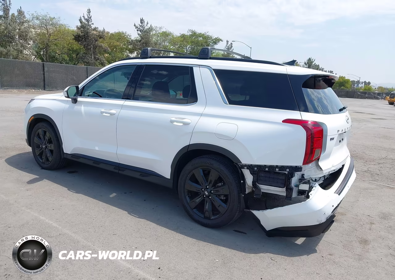 2023 Hyundai Palisade Xrt VIN:KM8R3DGE4PU535208 - 3