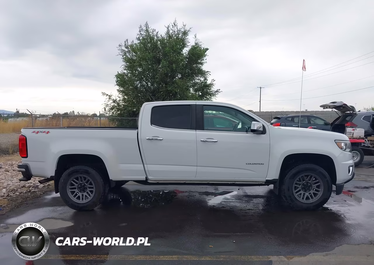 2017 Chevrolet Colorado 4Wd Lt VIN:1GCGTCEN3H1314601 - 13