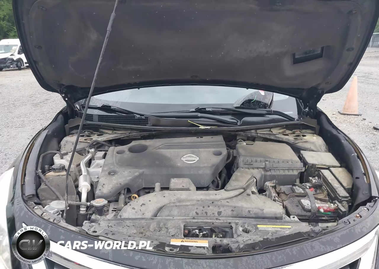 2014 Nissan Altima VIN:1N4AL3AP3EN350716 - 10