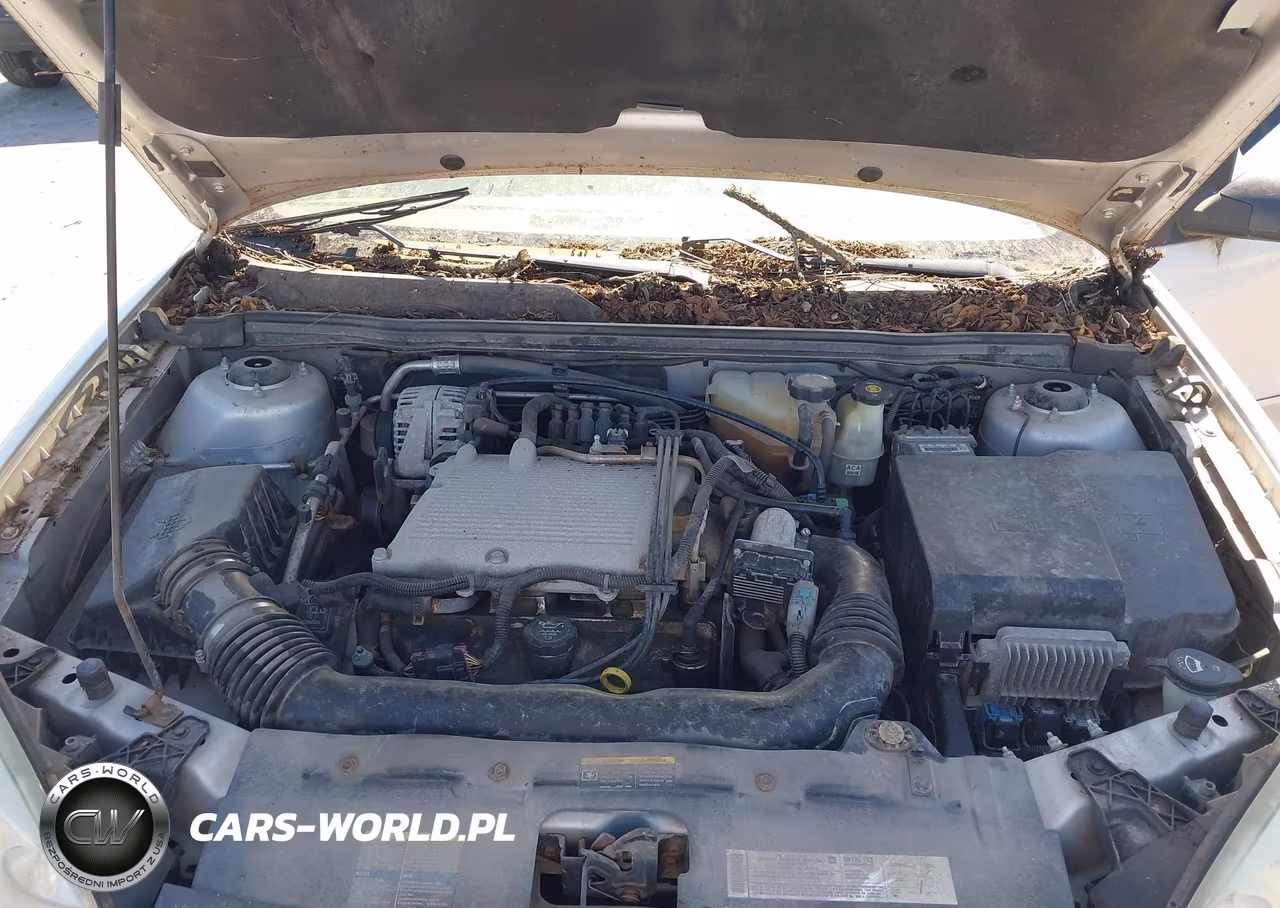 2005 Chevrolet Malibu Ls VIN:1G1ZT52845F118628 - 10