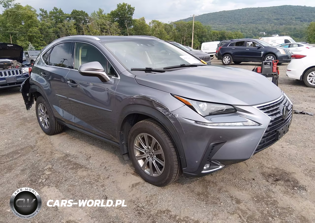 2020 Lexus Nx 300
