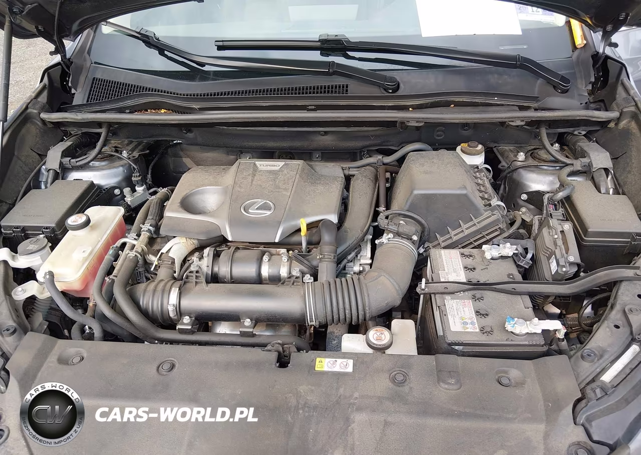 2020 Lexus Nx 300 VIN:JTJDARDZ1L2222595 - 10