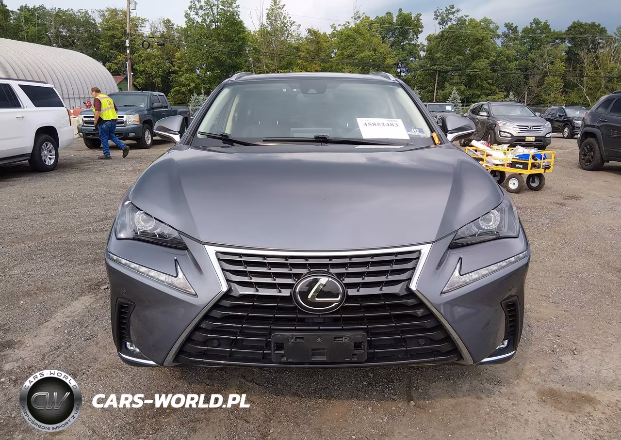 2020 Lexus Nx 300 VIN:JTJDARDZ1L2222595 - 13