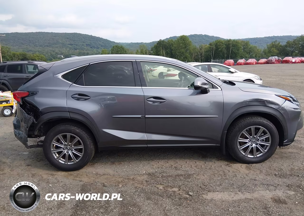 2020 Lexus Nx 300 VIN:JTJDARDZ1L2222595 - 14