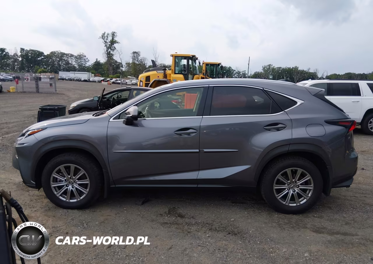 2020 Lexus Nx 300 VIN:JTJDARDZ1L2222595 - 15