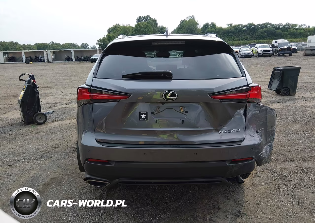 2020 Lexus Nx 300 VIN:JTJDARDZ1L2222595 - 17