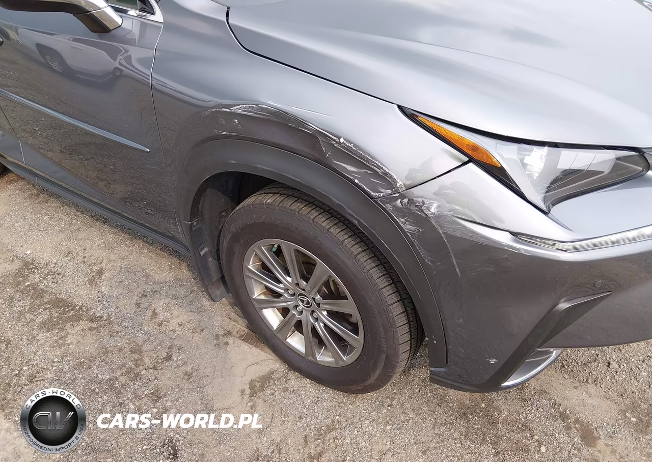 2020 Lexus Nx 300 VIN:JTJDARDZ1L2222595 - 18