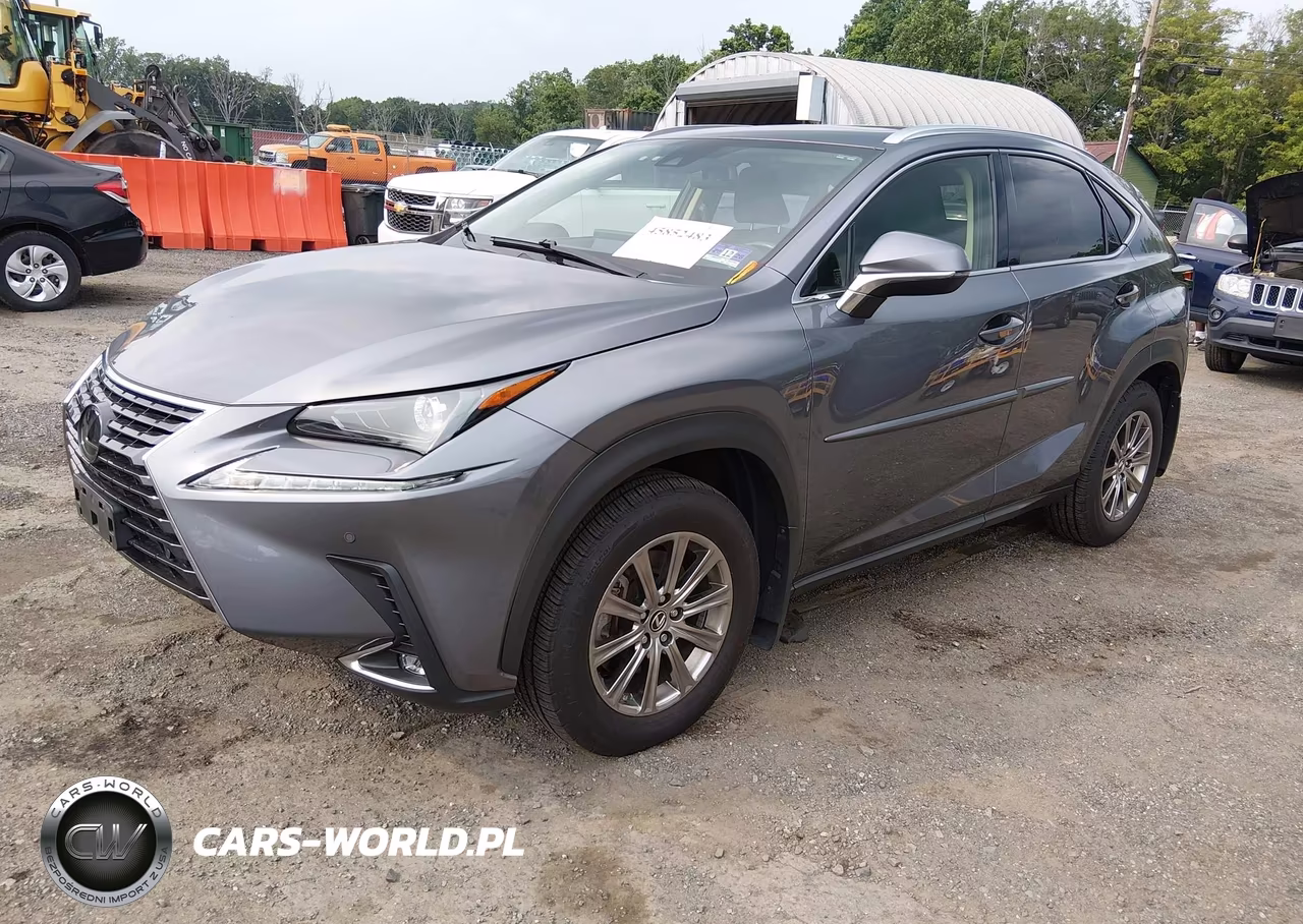2020 Lexus Nx 300 VIN:JTJDARDZ1L2222595 - 2