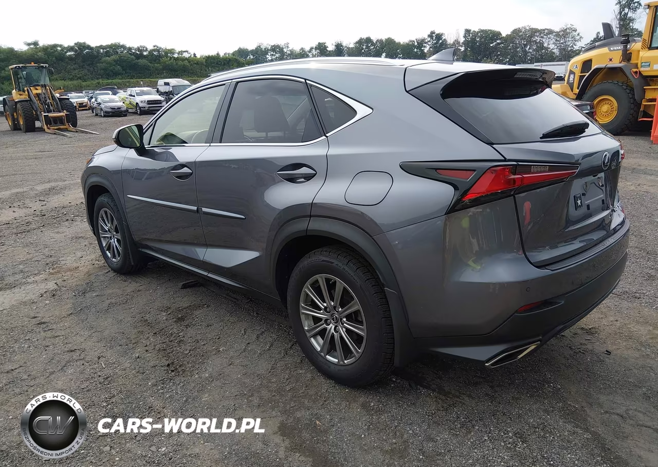 2020 Lexus Nx 300 VIN:JTJDARDZ1L2222595 - 3