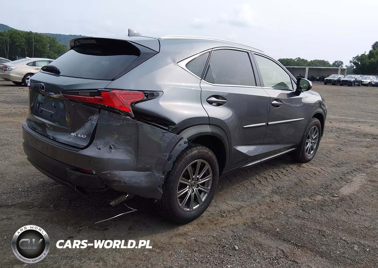 2020 Lexus Nx 300 VIN:JTJDARDZ1L2222595 - 4