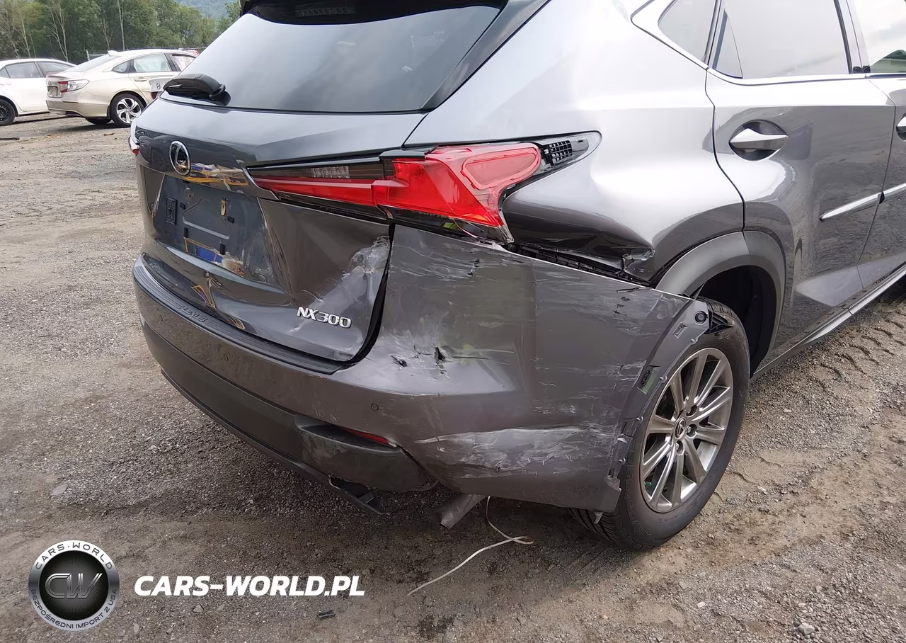 2020 Lexus Nx 300 VIN:JTJDARDZ1L2222595 - 6