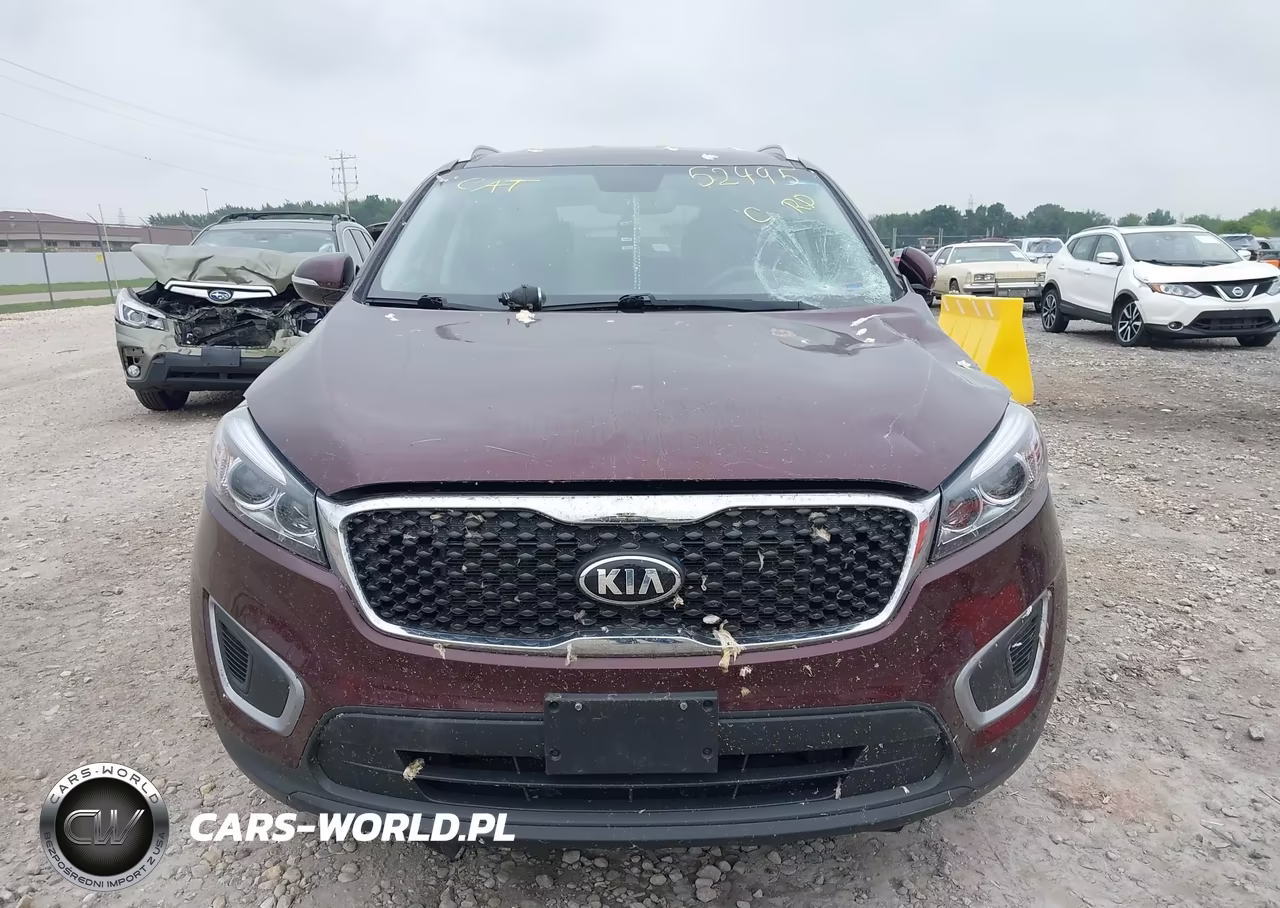 2017 Kia Sorento 2.4L Lx VIN:5XYPGDA31HG253425 - 12