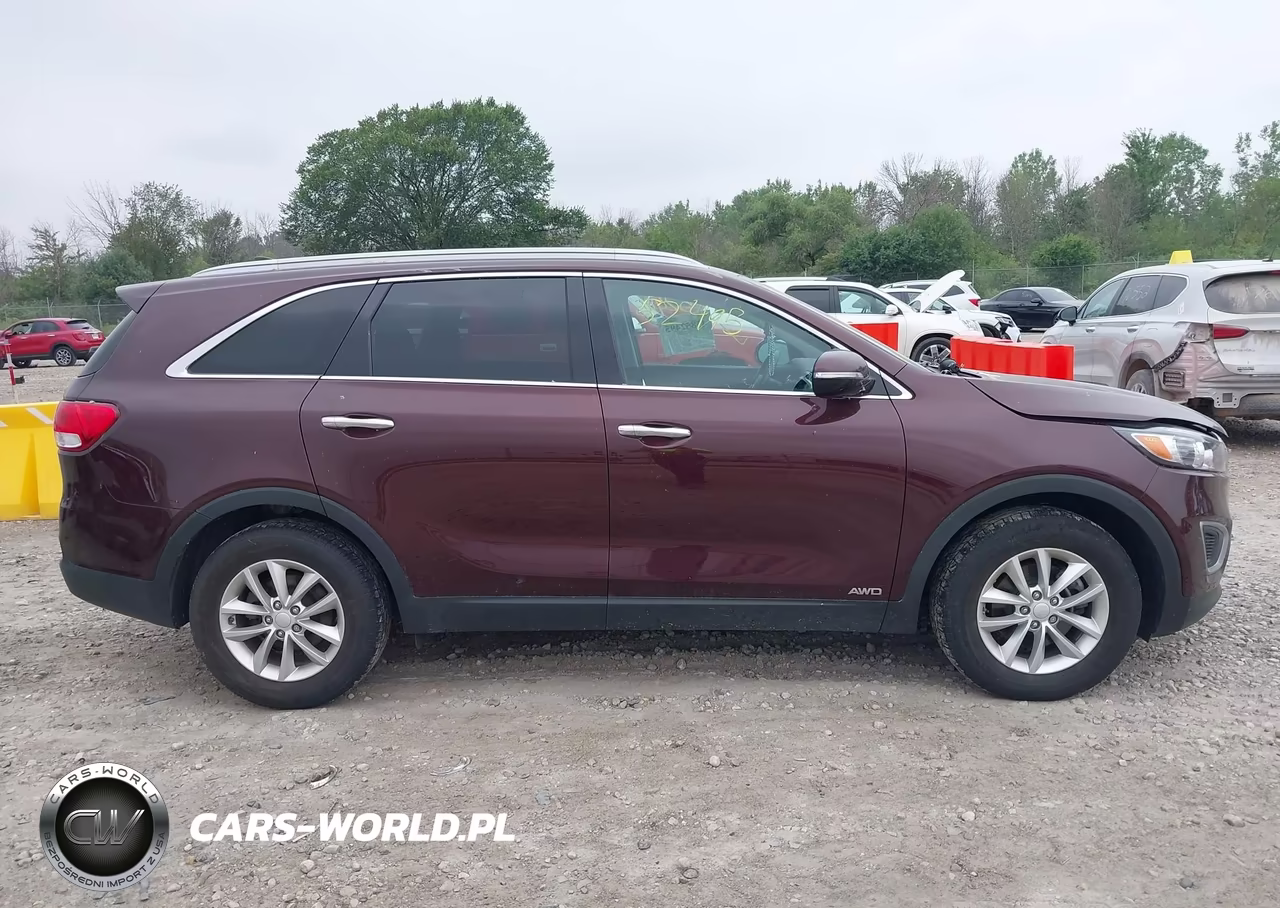 2017 Kia Sorento 2.4L Lx VIN:5XYPGDA31HG253425 - 13