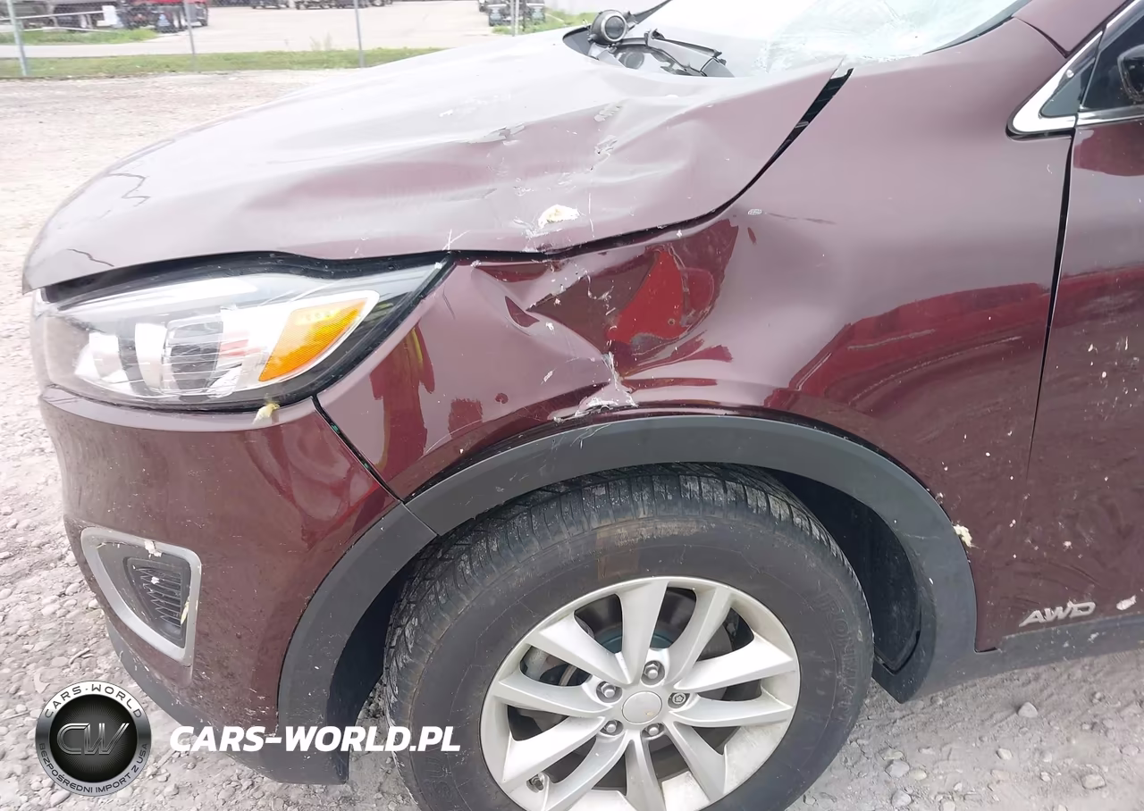2017 Kia Sorento 2.4L Lx VIN:5XYPGDA31HG253425 - 17