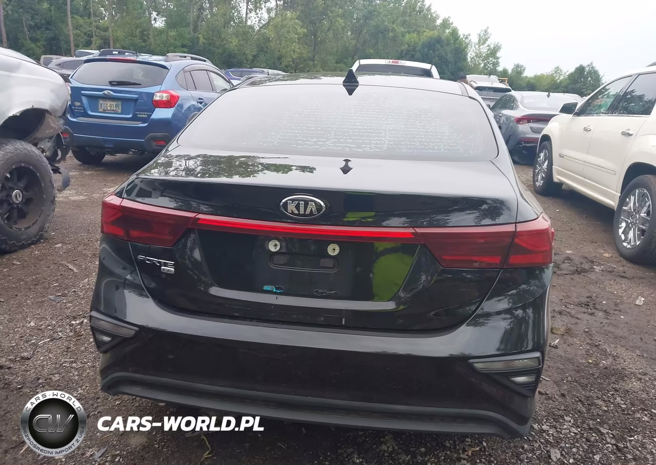 2019 Kia Forte Fe VIN:3KPF24AD5KE071170 - 16