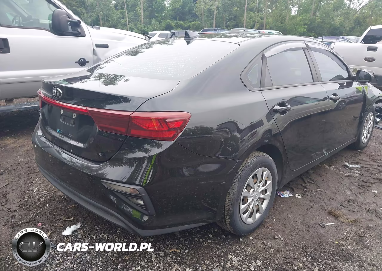 2019 Kia Forte Fe VIN:3KPF24AD5KE071170 - 4
