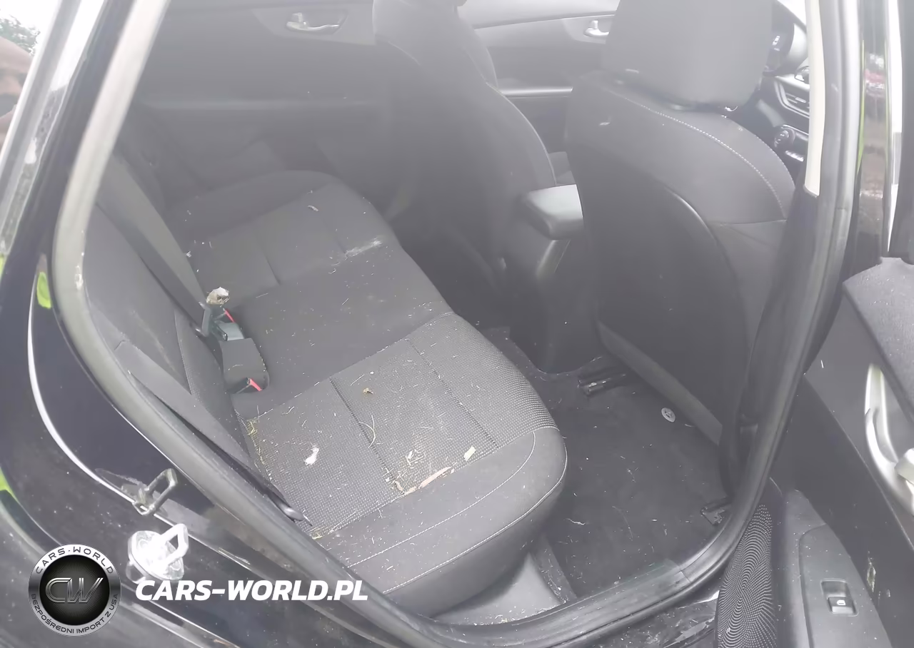 2019 Kia Forte Fe VIN:3KPF24AD5KE071170 - 8