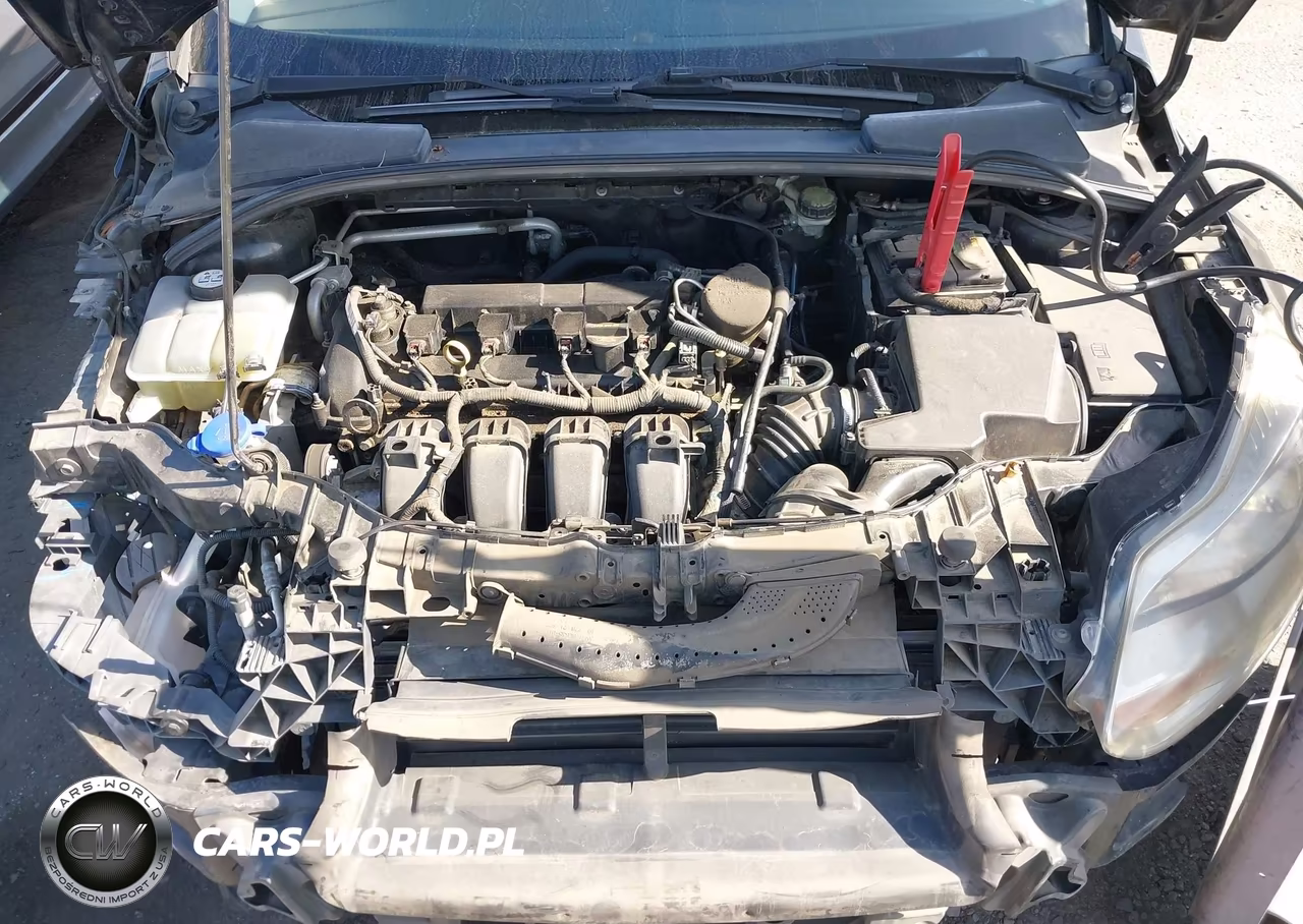 2013 Ford Focus Se VIN:1FADP3K29DL244981 - 10