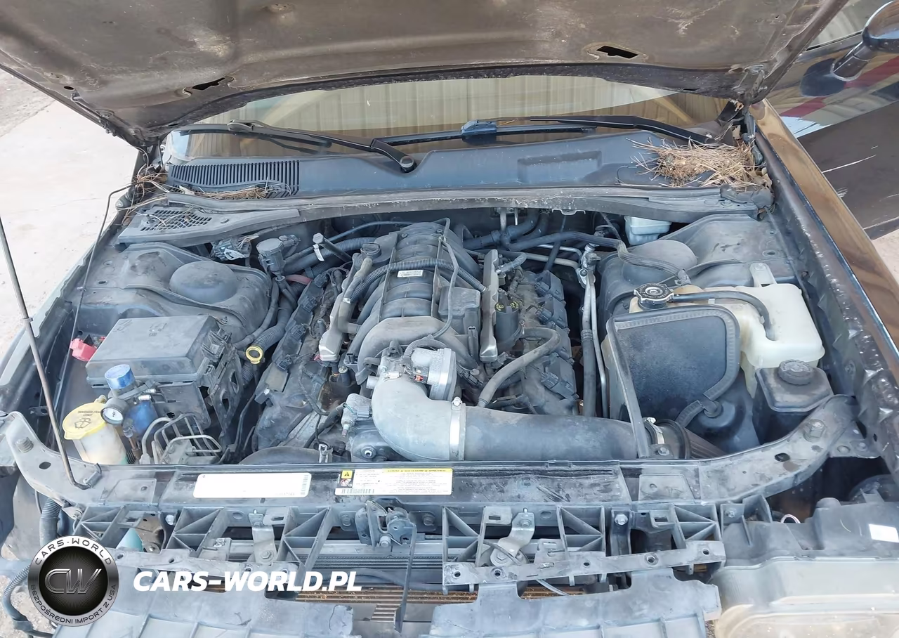 2009 Dodge Challenger R-T VIN:2B3LJ54T99H558595 - 10